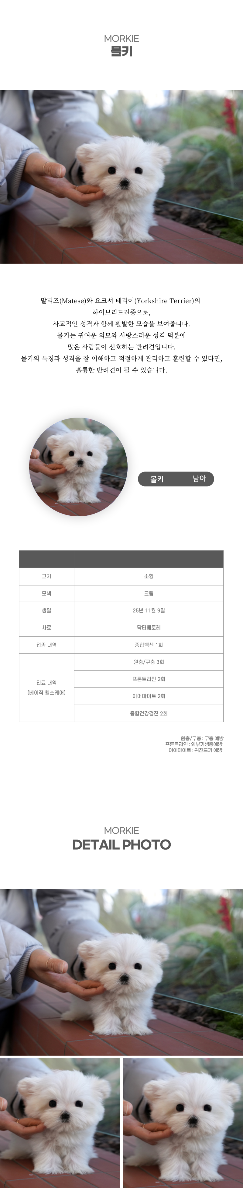 몰키_상세이미지_2
